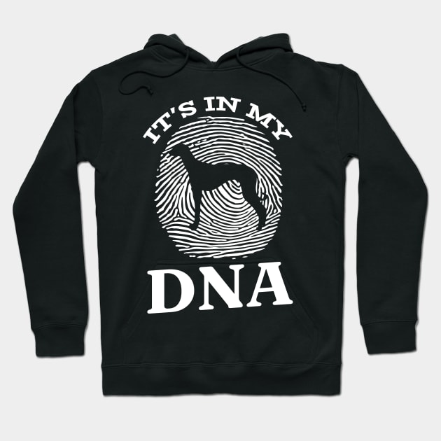 Old Croatian Sighthound It`s In My DNA Hoodie by Shirtjaeger
